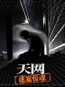 《天网：迷案惊魂》：扑朔迷离的阴谋，谁才是幕后黑手？这部悬疑剧够劲！